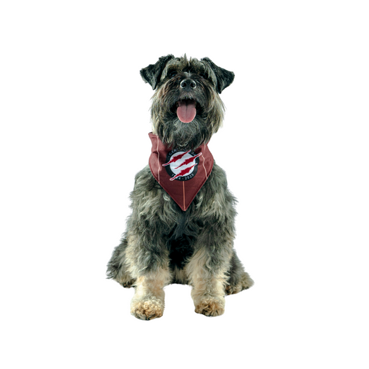 BANDANA GRANATE MASCOTAS 2025