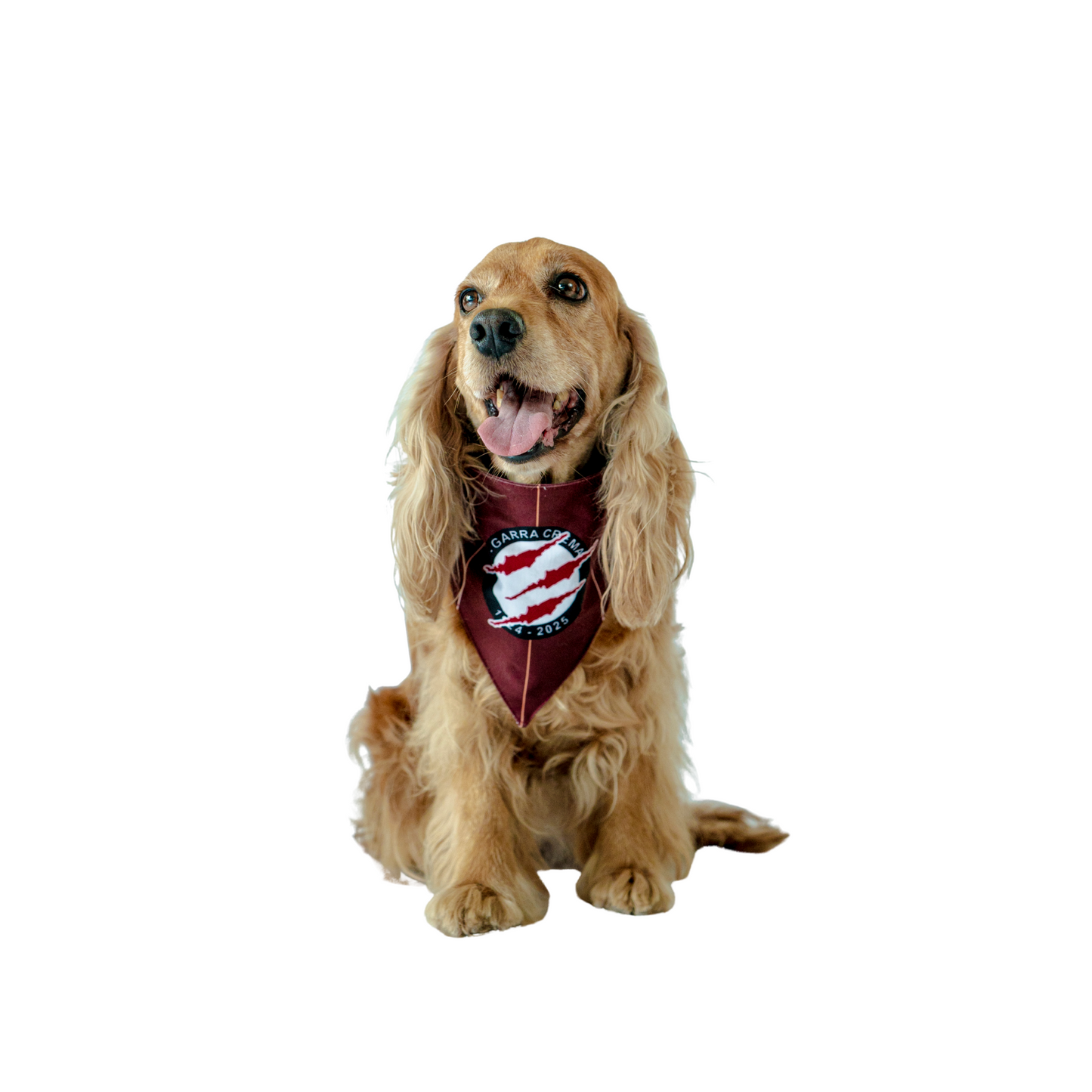 BANDANA GRANATE MASCOTAS 2025