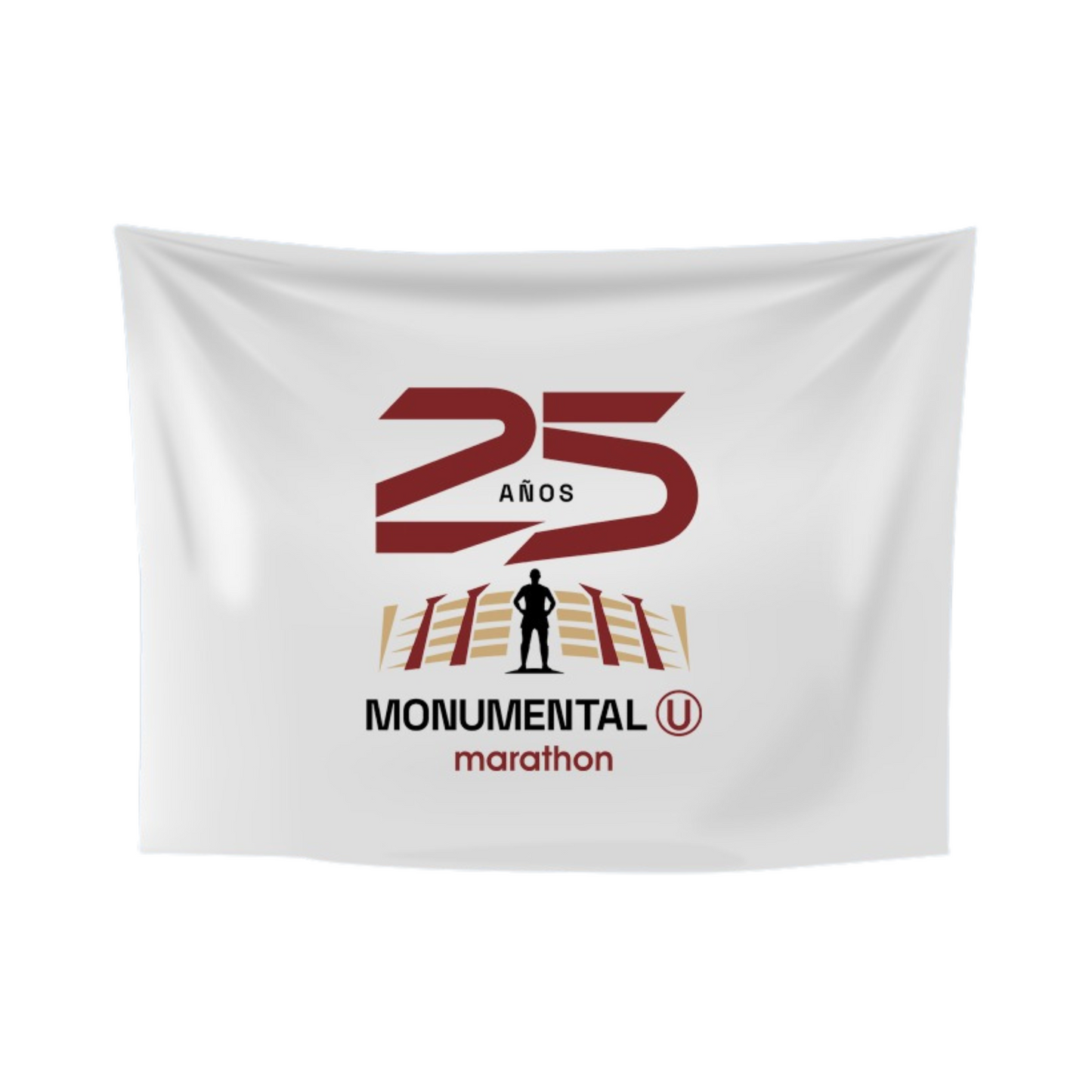 BANDERA 25 AÑOS DEL MONUMENTAL