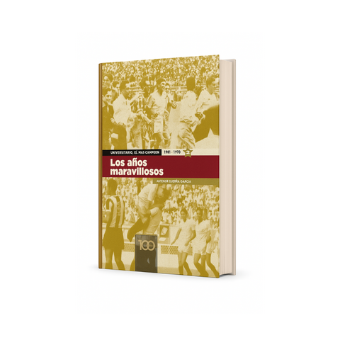 Libro los Años Maravillosos 2