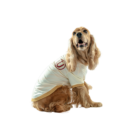 Camiseta Crema Oficial Mascotas Universitario 2025 4