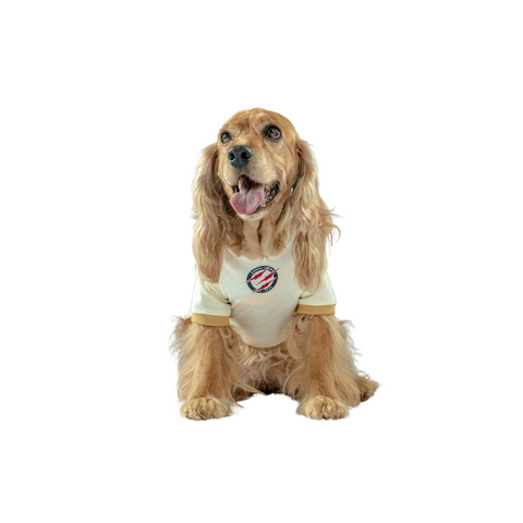 Camiseta Crema Oficial Mascotas Universitario 2025 5
