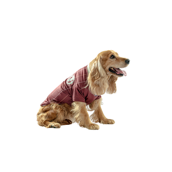 Camiseta Guinda Alterna Mascotas Universitario 2025