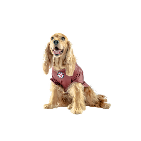 Camiseta Guinda Alterna Mascotas Universitario 2025 3