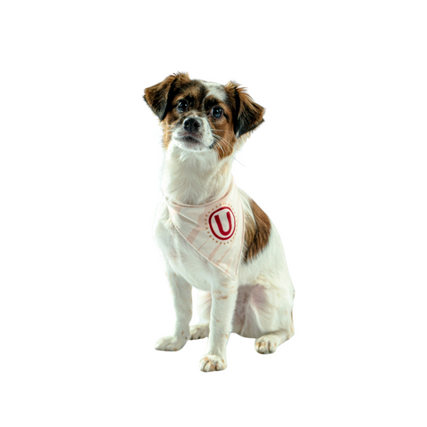 Bandana Crema Oficial Mascotas Universitario 2025 3