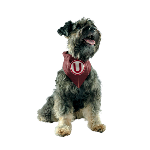 Bandana Crema Oficial Mascotas Universitario 2025 6