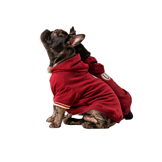 POLERA UNIVERSITARIO MASCOTA GRANATE