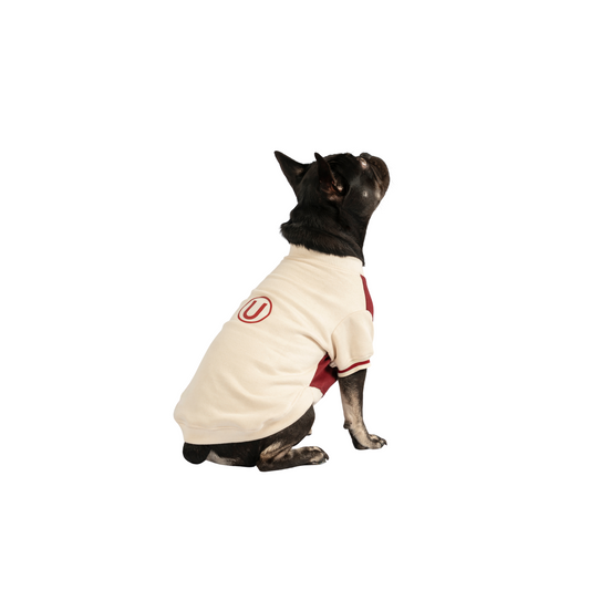 CHOMPA UNIVERSITARIO MASCOTA CREMA