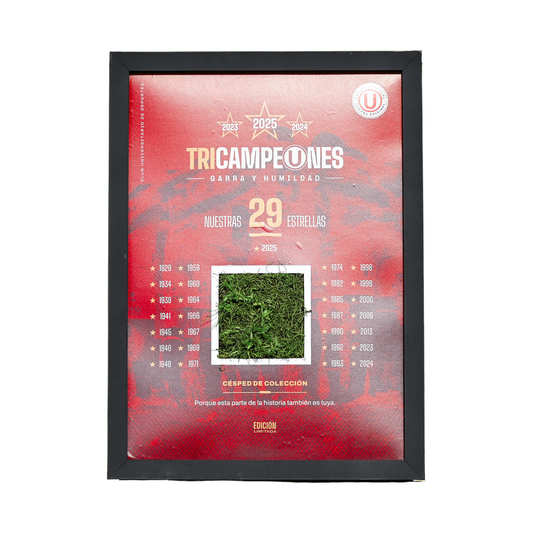 EL CESPED DE LOS TRICAMPEONES