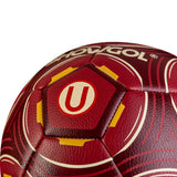 PELOTA P/FUTBOL SHOWGOL CUERO PVC FOAM MATE GRANATE   (#5)