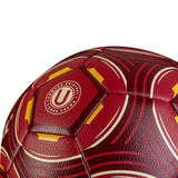 PELOTA P/FUTBOL SHOWGOL CUERO PVC FOAM MATE GRANATE   (#4)